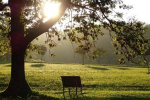 best brighton nlp coach sussex